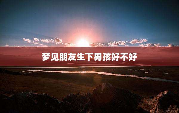 梦见朋友生下男孩好不好