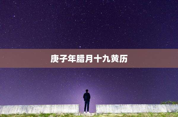 庚子年腊月十九黄历
