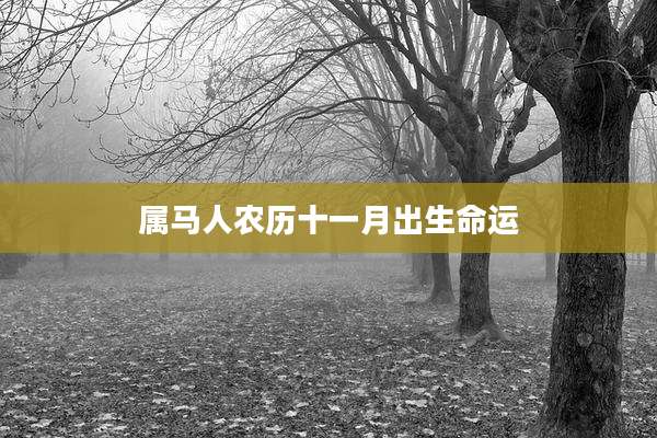 属马人农历十一月出生命运