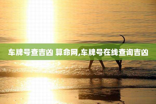 车牌号查吉凶 算命网,车牌号在线查询吉凶