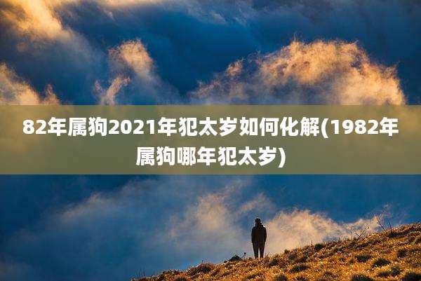 82年属狗2021年犯太岁如何化解(1982年属狗哪年犯太岁)