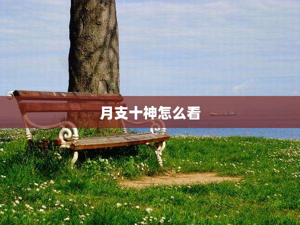 月支十神怎么看