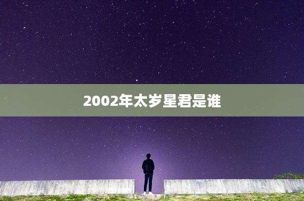 2002年太岁星君是谁