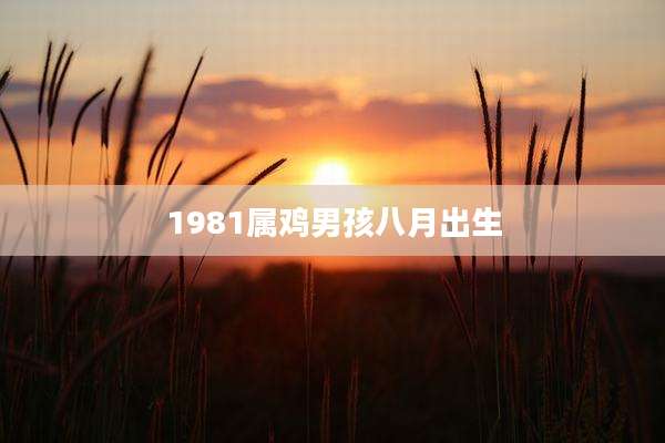 1981属鸡男孩八月出生