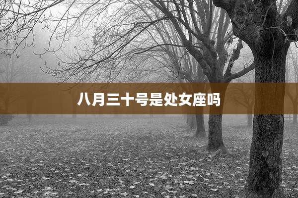 八月三十号是处女座吗