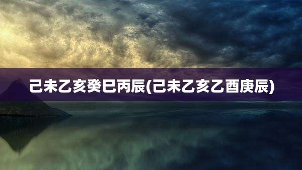 己未乙亥癸巳丙辰(己未乙亥乙酉庚辰)