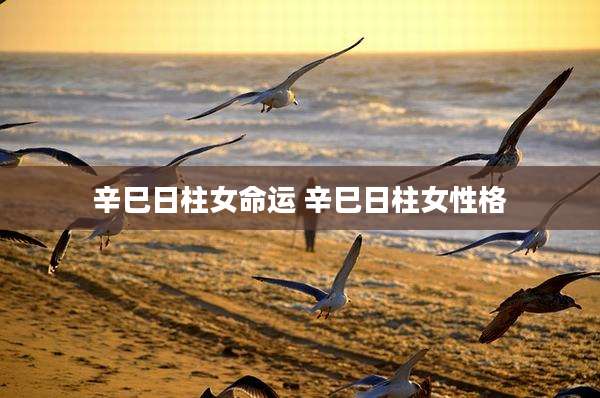 辛巳日柱女命运 辛巳日柱女性格