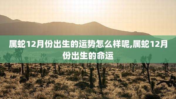 属蛇12月份出生的运势怎么样呢,属蛇12月份出生的命运