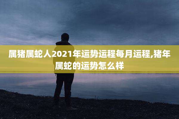 属猪属蛇人2021年运势运程每月运程,猪年属蛇的运势怎么样
