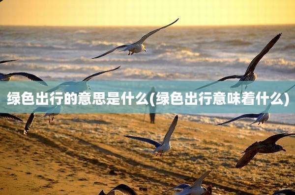 绿色出行的意思是什么(绿色出行意味着什么)