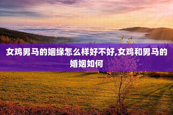 女鸡男马的姻缘怎么样好不好,女鸡和男马的婚姻如何
