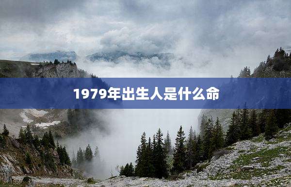 1979年出生人是什么命