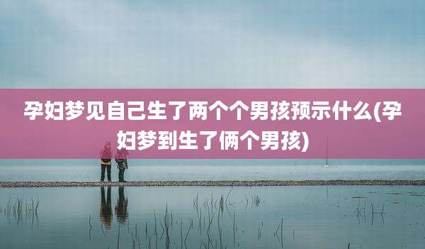 孕妇梦见自己生了两个个男孩预示什么(孕妇梦到生了俩个男孩)