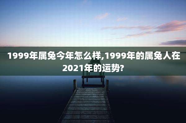 1999年属兔今年怎么样,1999年的属兔人在2021年的运势?