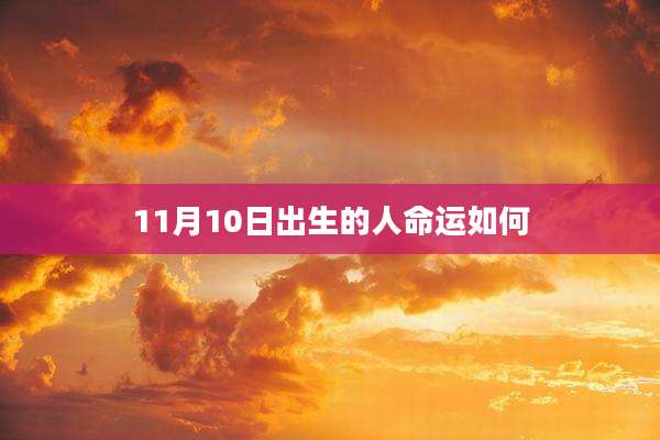 11月10日出生的人命运如何