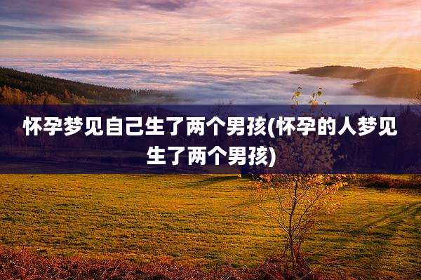 怀孕梦见自己生了两个男孩(怀孕的人梦见生了两个男孩)