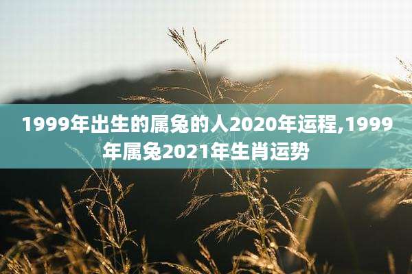 1999年出生的属兔的人2020年运程,1999年属兔2021年生肖运势