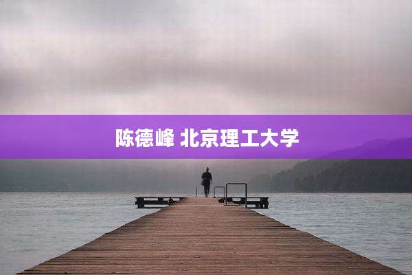 陈德峰 北京理工大学