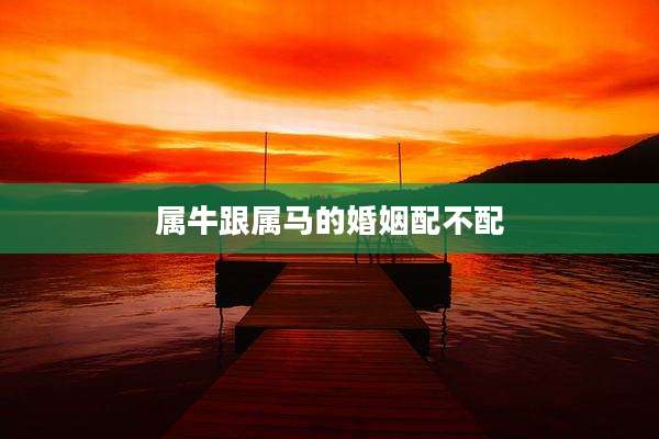 属牛跟属马的婚姻配不配