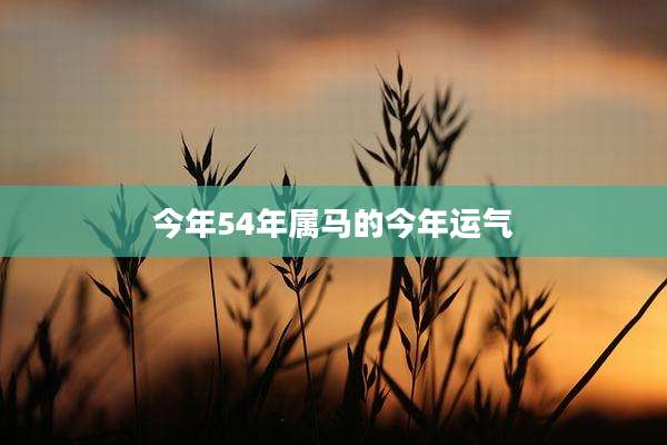 今年54年属马的今年运气