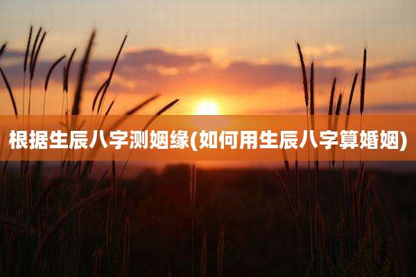 根据生辰八字测姻缘(如何用生辰八字算婚姻)