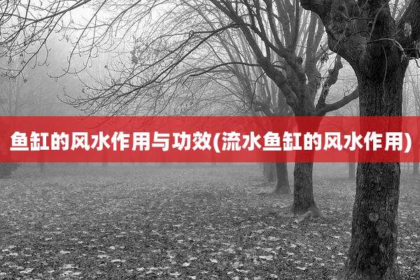 鱼缸的风水作用与功效(流水鱼缸的风水作用)