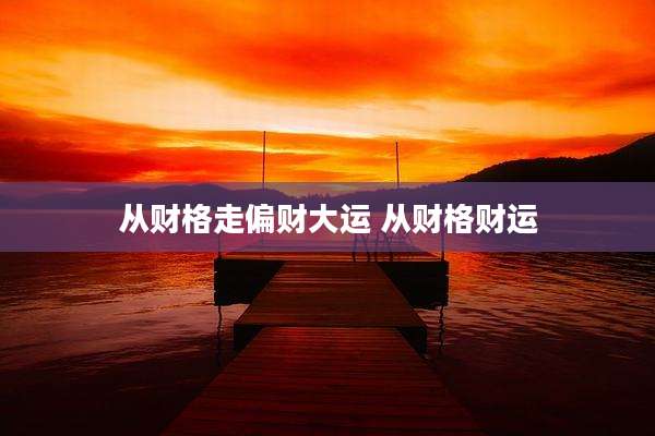 从财格走偏财大运 从财格财运
