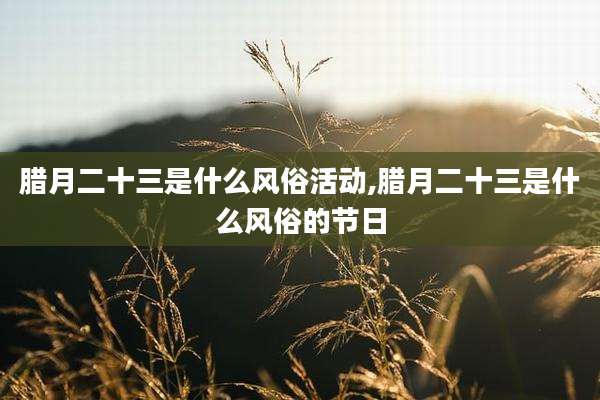 腊月二十三是什么风俗活动,腊月二十三是什么风俗的节日