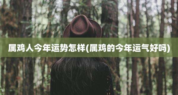 属鸡人今年运势怎样(属鸡的今年运气好吗)