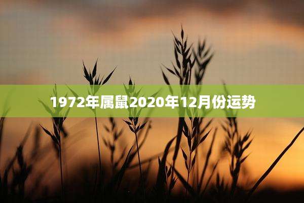 1972年属鼠2020年12月份运势