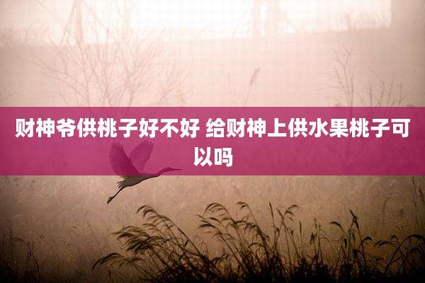财神爷供桃子好不好 给财神上供水果桃子可以吗