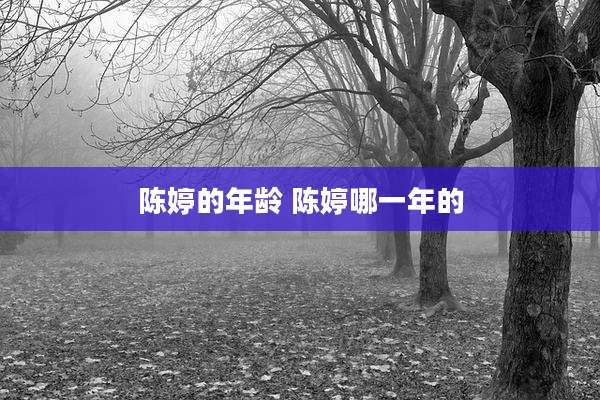 陈婷的年龄 陈婷哪一年的