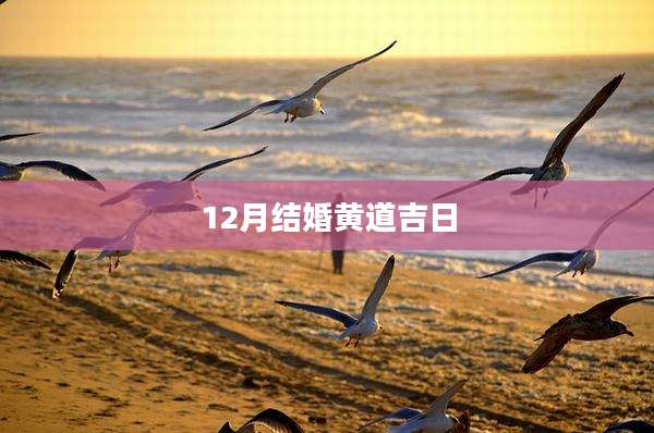 12月结婚黄道吉日