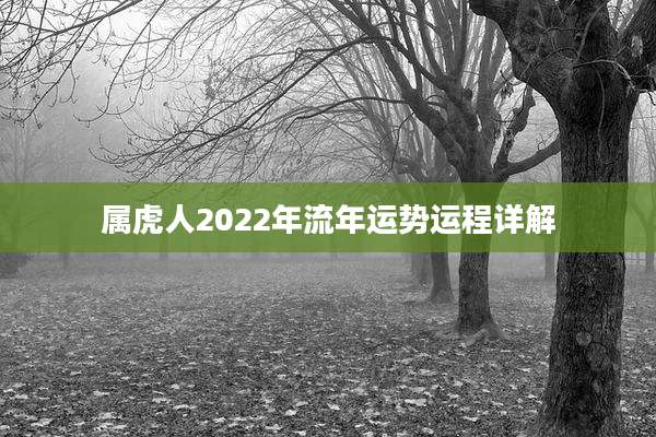 属虎人2022年流年运势运程详解