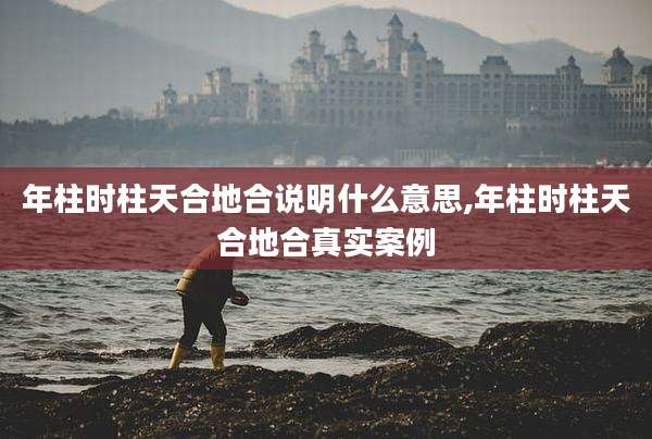 年柱时柱天合地合说明什么意思,年柱时柱天合地合真实案例