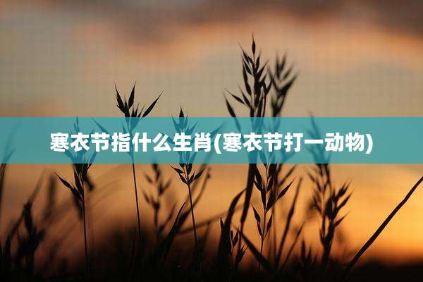 寒衣节指什么生肖(寒衣节打一动物)