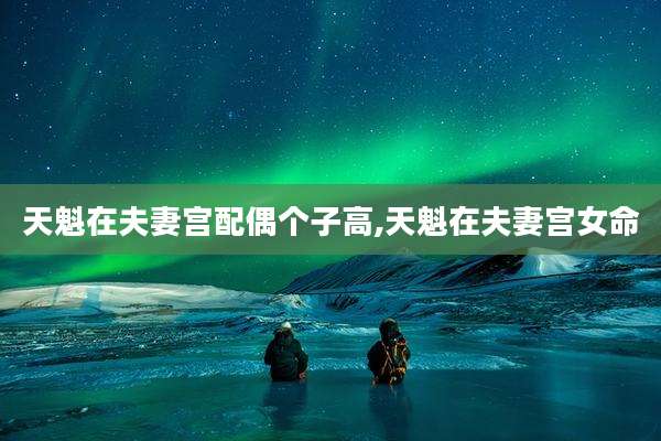 天魁在夫妻宫配偶个子高,天魁在夫妻宫女命