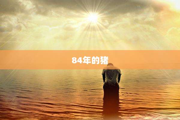 84年的猪