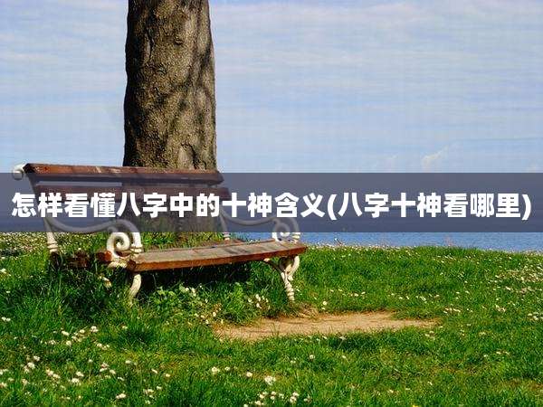 怎样看懂八字中的十神含义(八字十神看哪里)