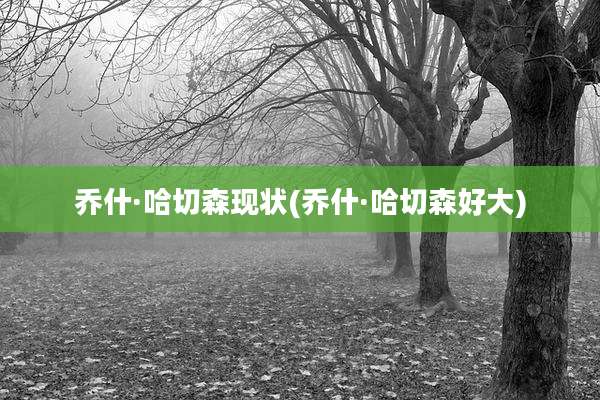 乔什·哈切森现状(乔什·哈切森好大)