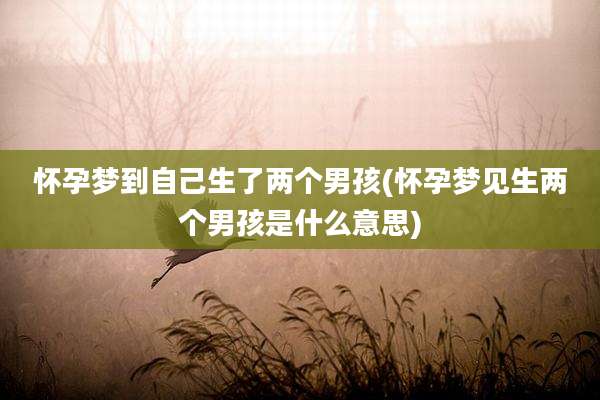 怀孕梦到自己生了两个男孩(怀孕梦见生两个男孩是什么意思)