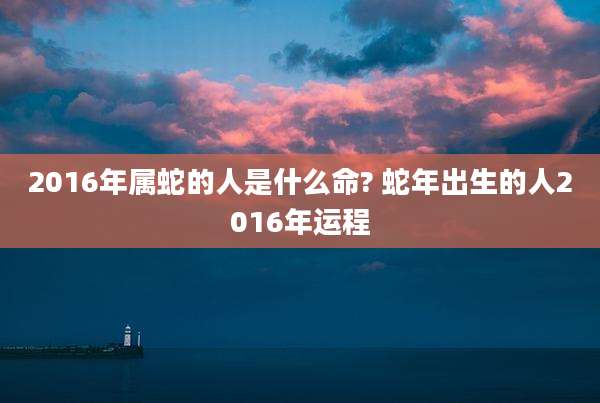 2016年属蛇的人是什么命? 蛇年出生的人2016年运程