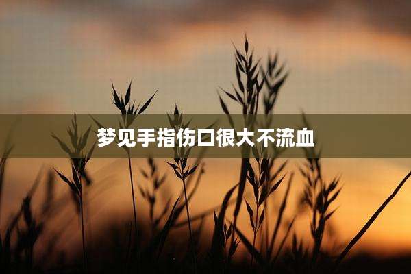 梦见手指伤口很大不流血