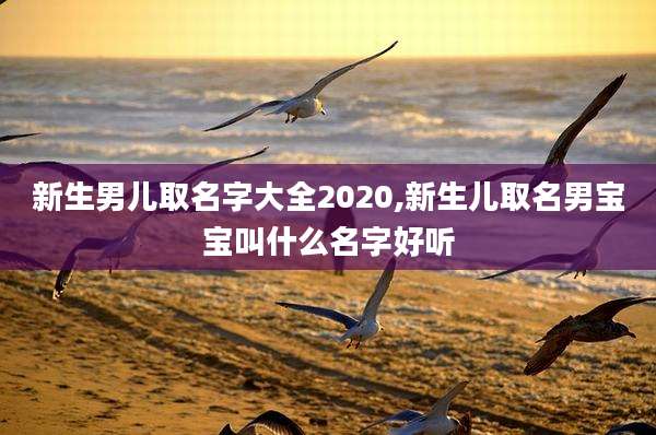 新生男儿取名字大全2020,新生儿取名男宝宝叫什么名字好听