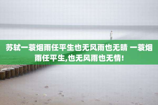 苏轼一蓑烟雨任平生也无风雨也无晴 一蓑烟雨任平生,也无风雨也无情!