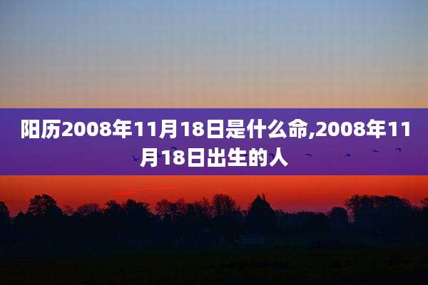 阳历2008年11月18日是什么命,2008年11月18日出生的人