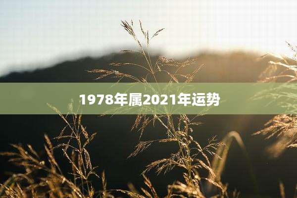 1978年属2021年运势