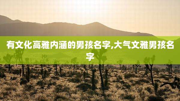 有文化高雅内涵的男孩名字,大气文雅男孩名字