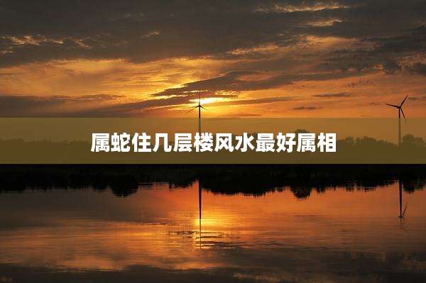 属蛇住几层楼风水最好属相