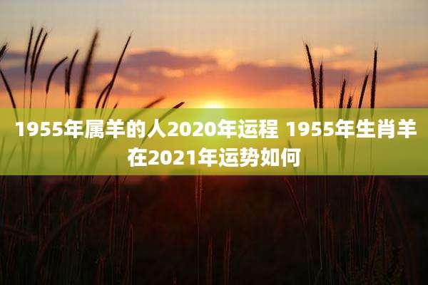 1955年属羊的人2020年运程 1955年生肖羊在2021年运势如何
